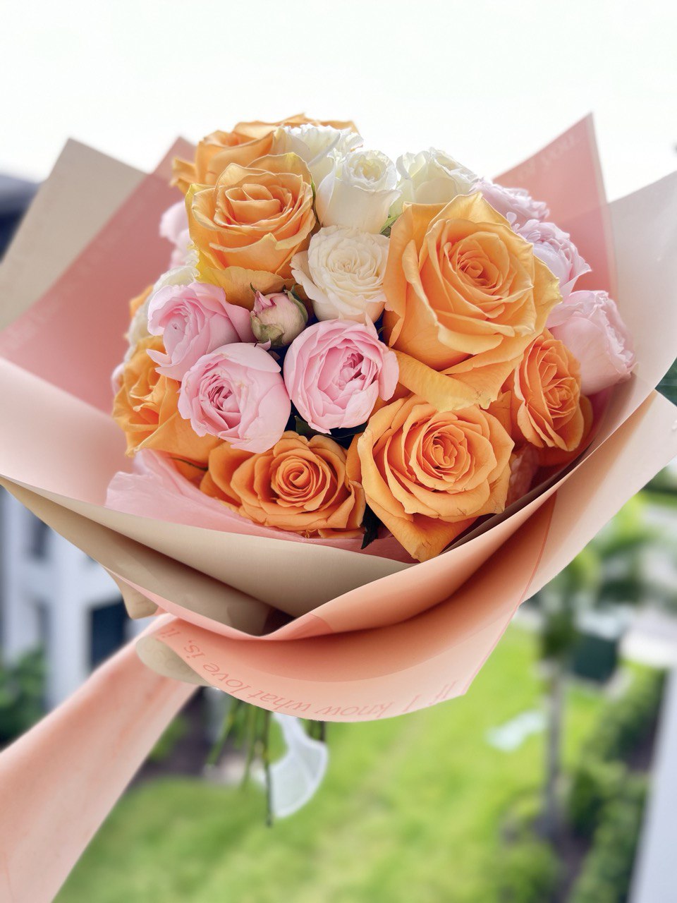 Timeless Rose